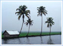About Kerala Backwaters, About Kerala Houseboats